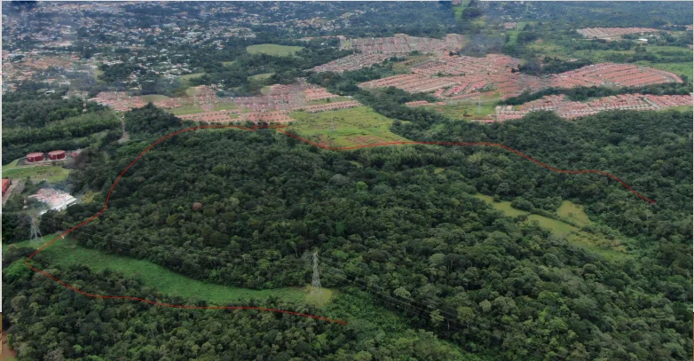 VENTA DE TERRENO PARA DESARROLLO RESIDENCIAL EN LA CHORRERA